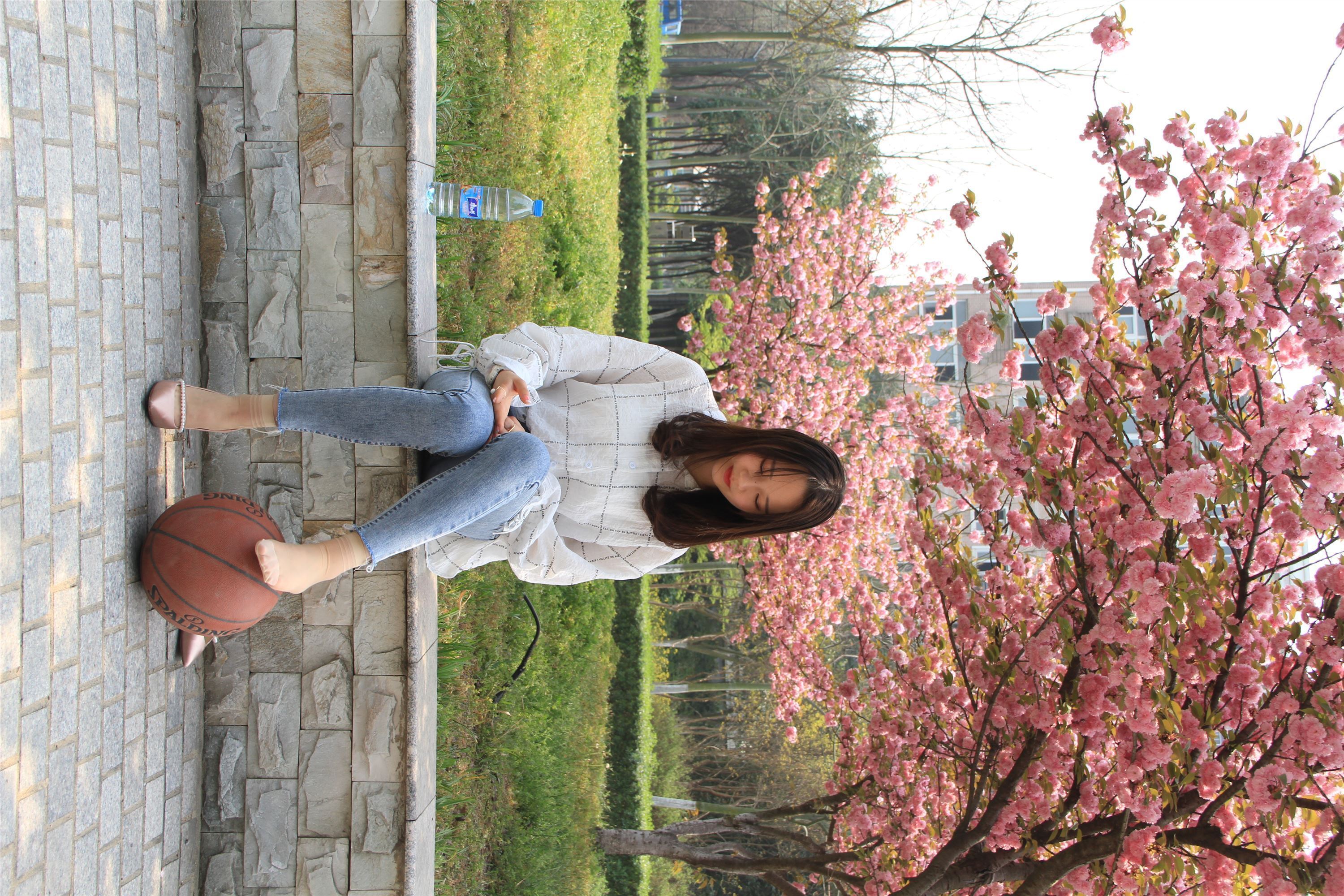 自由摄影 No.001 赶上花季的末班车